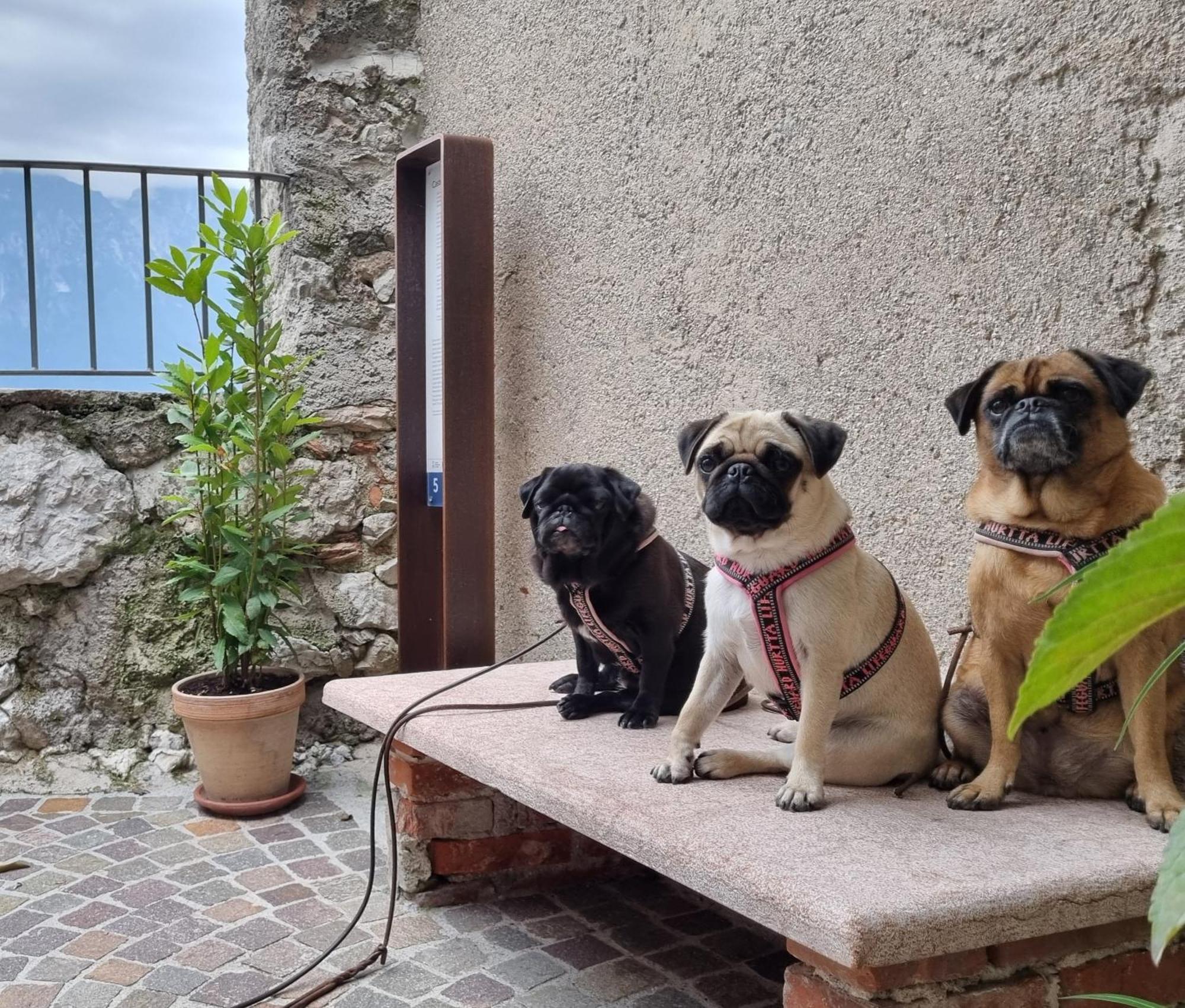 Locanda Al Castelletto Tremosine المظهر الخارجي الصورة